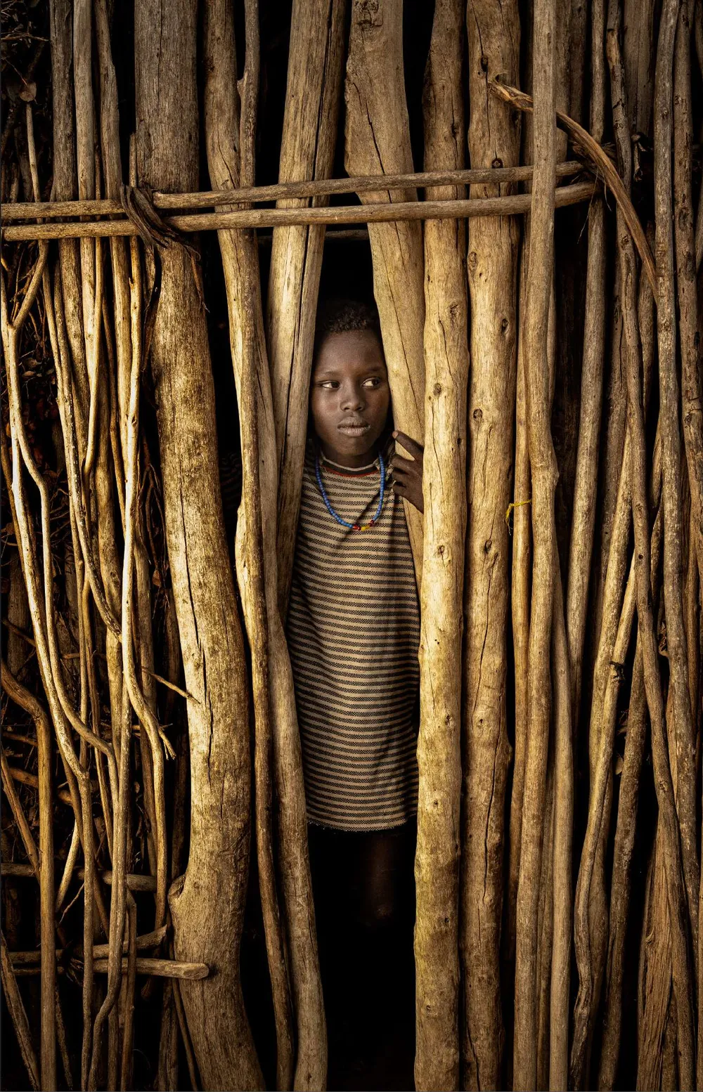 Niño arbore asomado entre ramas