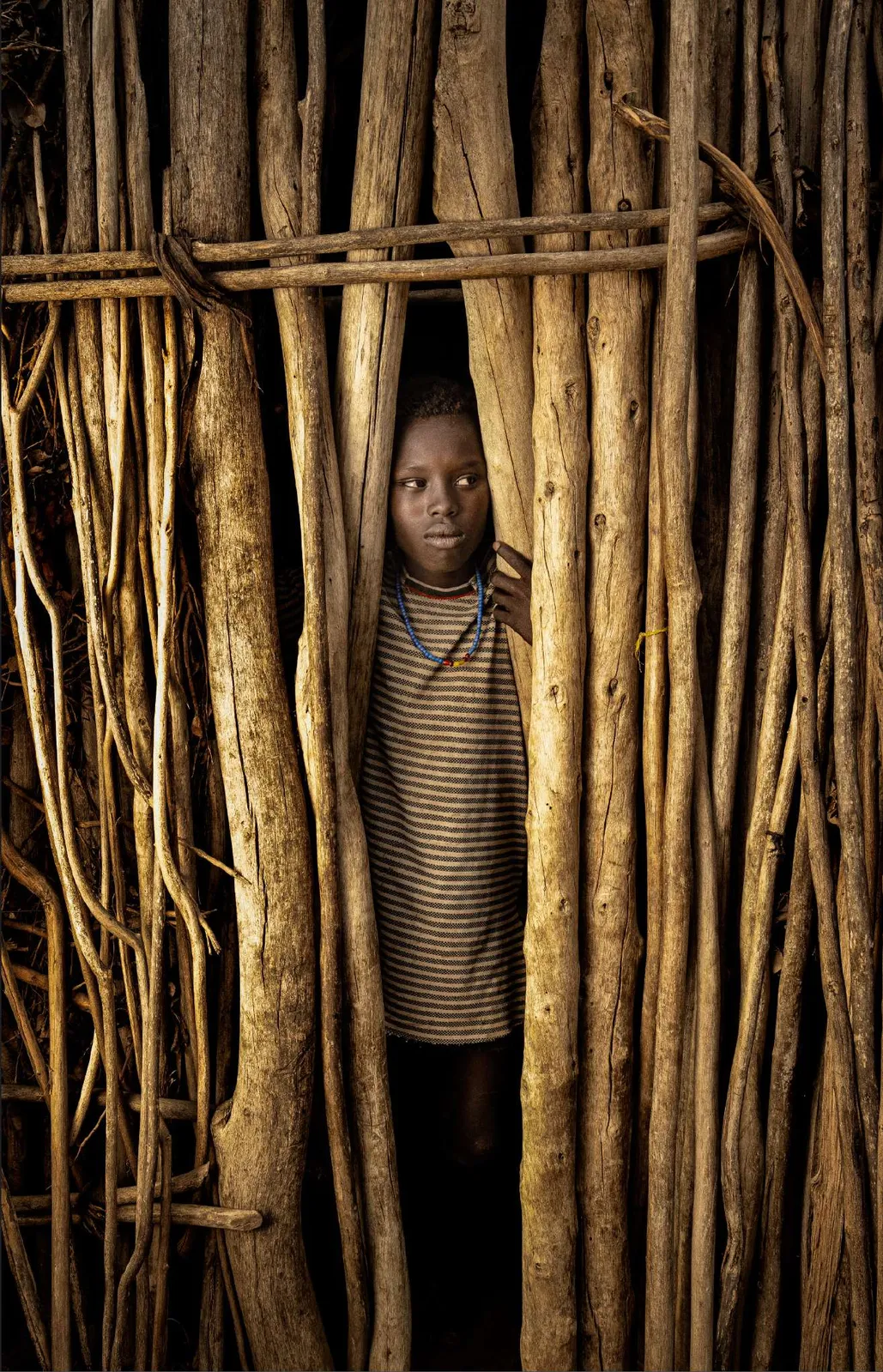 Niño arbore asomado entre ramas