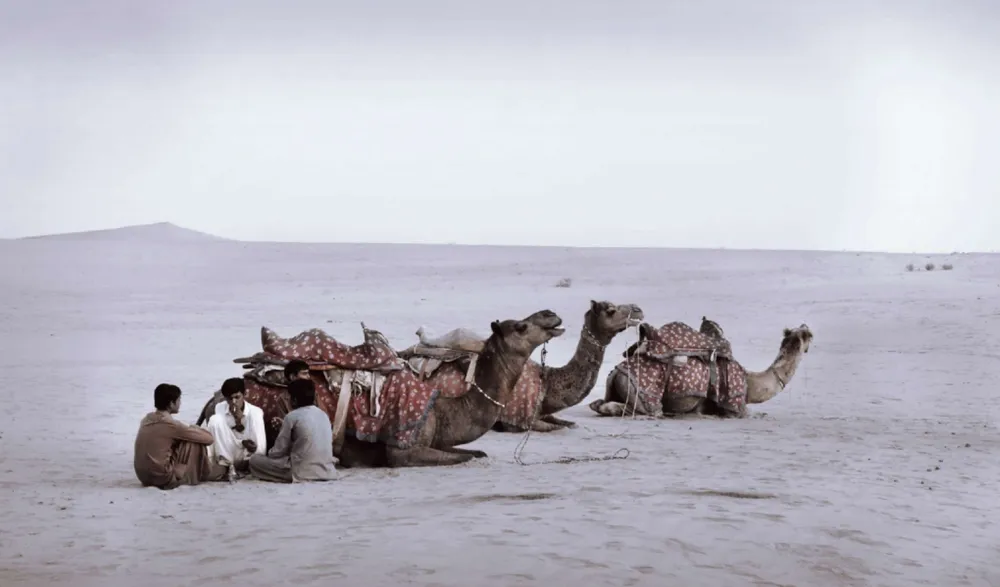 Hombres sentados junto a camellos echados en el desierto bajo un cielo claro