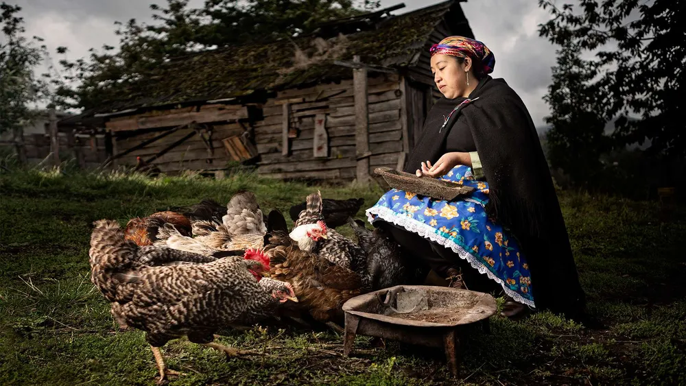 Mujer mapuche sentada al aire libre junto a una casa de madera